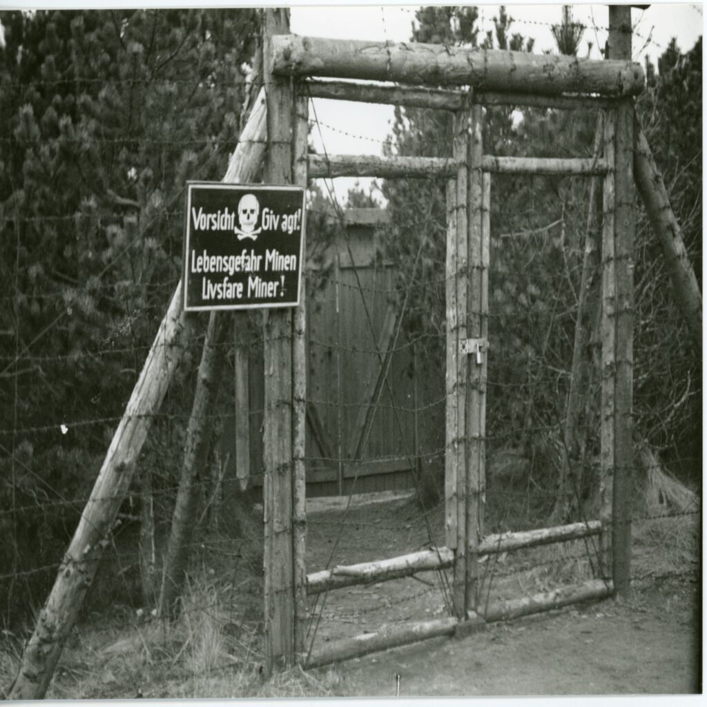Foto: Indgang til henrettelsespladsen gennem to led: Pigtrådslåge og bræddeport, 1946 - 1949